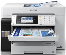 Epson EcoTank L15160-Treiber