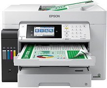 Epson EcoTank Pro ET-16600-Treiber