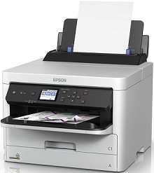 Epson WorkForce Pro WF-C5290 Treiber